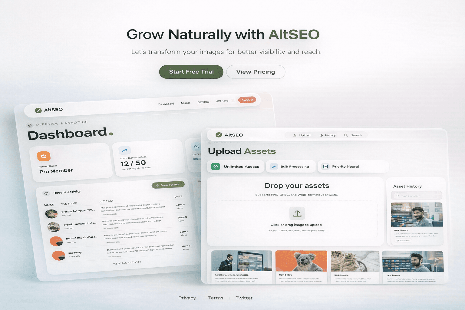 AltSEO preview